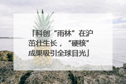 科创“雨林”在沪茁壮生长，“硬核”成果吸引全球目光