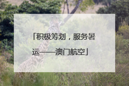 积极筹划，服务暑运——澳门航空