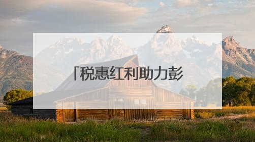 税惠红利助力彭艾产业健康发展