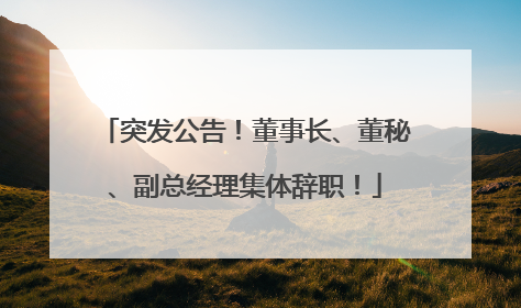 突发公告！董事长、董秘、副总经理集体辞职！