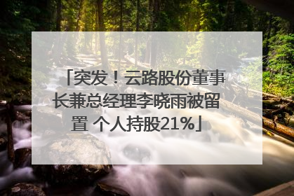 突发！云路股份董事长兼总经理李晓雨被留置 个人持股21%
