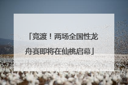 竞渡！两场全国性龙舟赛即将在仙桃启幕