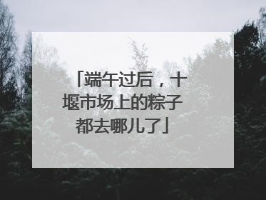 端午过后，十堰市场上的粽子都去哪儿了