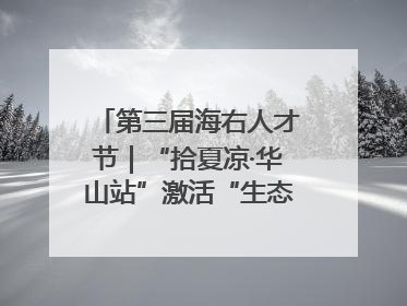 第三届海右人才节｜“拾夏凉·华山站”激活“生态聚才”强磁场