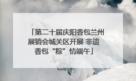 第二十届庆阳香包兰州展销会城关区开展 非遗香包“粽”情端午