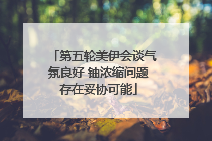 第五轮美伊会谈气氛良好 铀浓缩问题存在妥协可能