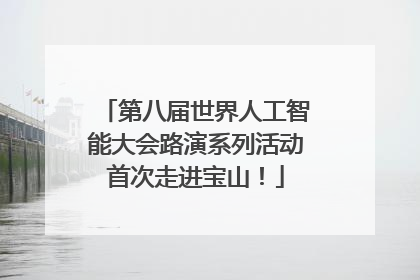 第八届世界人工智能大会路演系列活动首次走进宝山！
