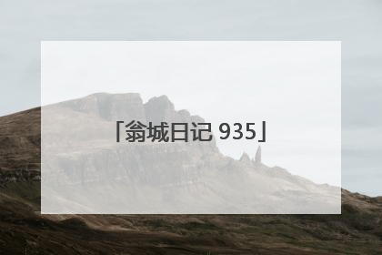 翁城日记 935
