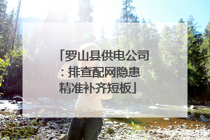 罗山县供电公司：排查配网隐患 精准补齐短板
