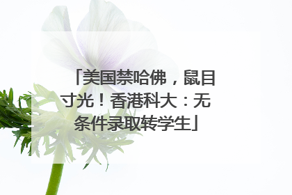美国禁哈佛，鼠目寸光！香港科大：无条件录取转学生