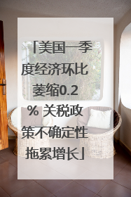 美国一季度经济环比萎缩0.2% 关税政策不确定性拖累增长