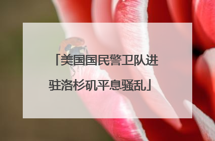 美国国民警卫队进驻洛杉矶平息骚乱