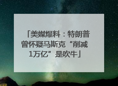 美媒爆料：特朗普曾怀疑马斯克“削减1万亿”是吹牛