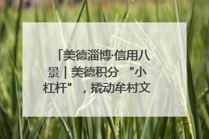 美德淄博·信用八景｜美德积分 “小杠杆”，撬动牟村文明 “大能量”