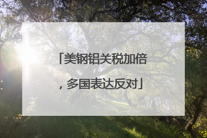 美钢铝关税加倍，多国表达反对
