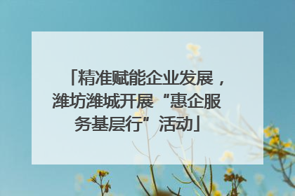 精准赋能企业发展，潍坊潍城开展“惠企服务基层行”活动
