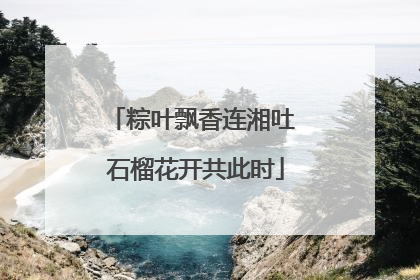 粽叶飘香连湘吐 石榴花开共此时