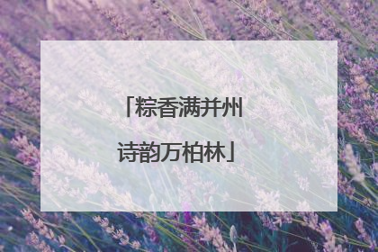 粽香满并州 诗韵万柏林