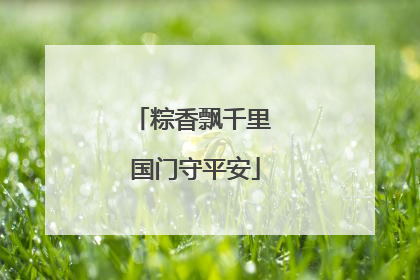 粽香飘千里 国门守平安