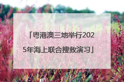 粤港澳三地举行2025年海上联合搜救演习