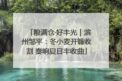 粮满仓·好丰光｜滨州邹平：冬小麦开镰收割 奏响夏日丰收曲