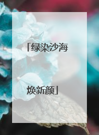 绿染沙海焕新颜