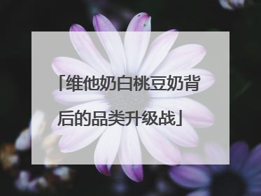 维他奶白桃豆奶背后的品类升级战