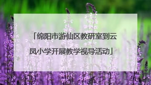 绵阳市游仙区教研室到云凤小学开展教学视导活动