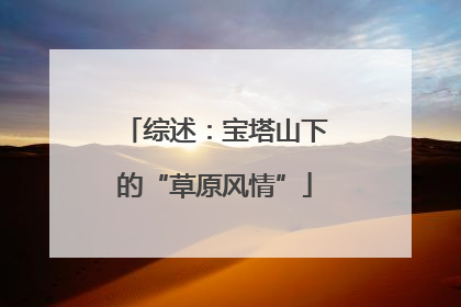 综述：宝塔山下的“草原风情”