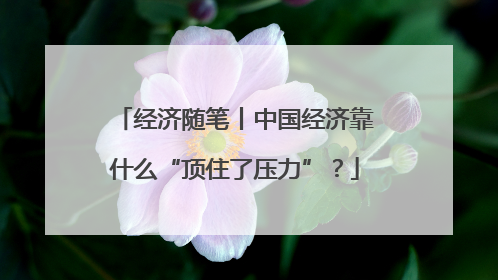 经济随笔丨中国经济靠什么“顶住了压力”？