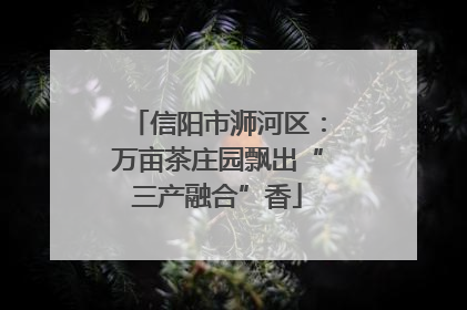 信阳市浉河区：万亩茶庄园飘出“三产融合”香