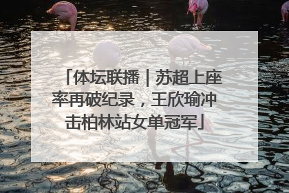 体坛联播｜苏超上座率再破纪录，王欣瑜冲击柏林站女单冠军