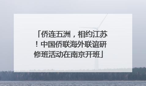 侨连五洲，相约江苏！中国侨联海外联谊研修班活动在南京开班