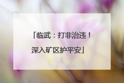 临武：打非治违！深入矿区护平安