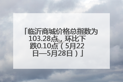 临沂商城价格总指数为103.28点，环比下跌0.10点（5月22日—5月28日）