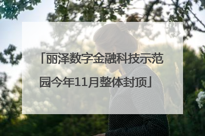 丽泽数字金融科技示范园今年11月整体封顶