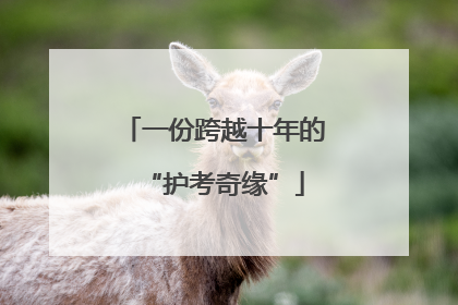 一份跨越十年的“护考奇缘”