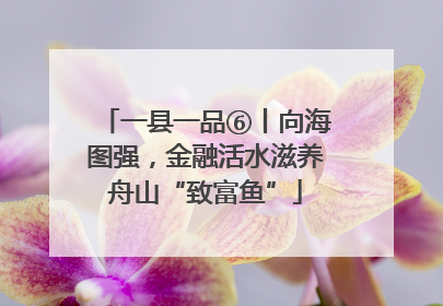 一县一品⑥丨向海图强，金融活水滋养舟山“致富鱼”