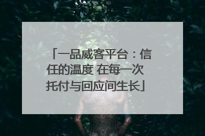 一品威客平台：信任的温度 在每一次托付与回应间生长