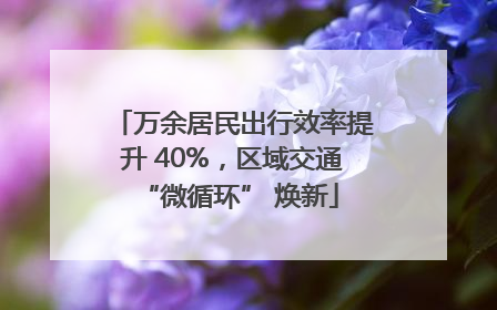 万余居民出行效率提升 40%，区域交通 “微循环” 焕新