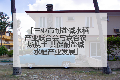 三亚市耐盐碱水稻产业联合会与袁谷农场携手 共促耐盐碱水稻产业发展