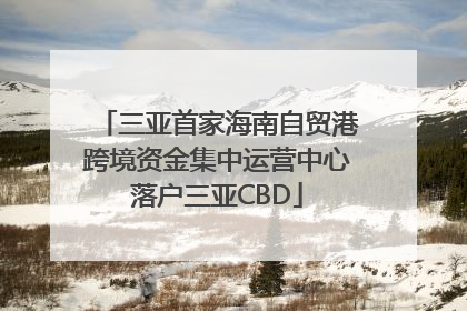 三亚首家海南自贸港跨境资金集中运营中心落户三亚CBD