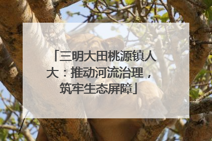 三明大田桃源镇人大：推动河流治理，筑牢生态屏障