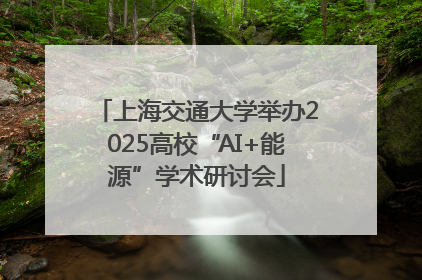 上海交通大学举办2025高校“AI+能源”学术研讨会