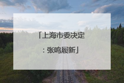 上海市委决定：张鸣履新