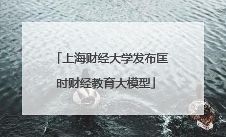 上海财经大学发布匡时财经教育大模型