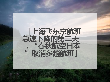 上海飞东京航班急速下降的第二天，“春秋航空日本”取消多趟航班