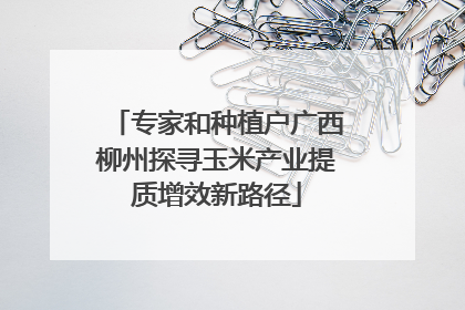 专家和种植户广西柳州探寻玉米产业提质增效新路径