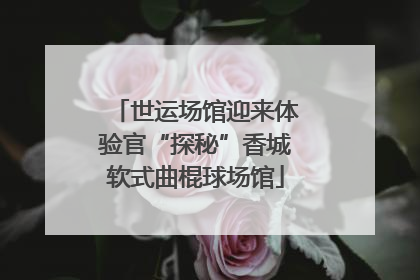 世运场馆迎来体验官“探秘”香城软式曲棍球场馆