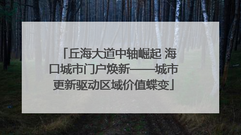 丘海大道中轴崛起 海口城市门户焕新——城市更新驱动区域价值蝶变